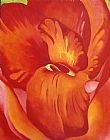 Georgia O'keeffe Canna Red And Orange 1922