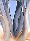 Georgia O'keeffe Dark Tree Trunks