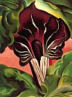 Georgia O'keeffe Jack in The Pulpit II