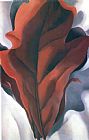 Red And White Prints - Large Dark Red Leaves on White by Georgia O'keeffe