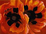 Georgia O'keeffe Oriental Poppies