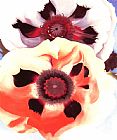 Georgia O'keeffe Poppies