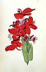Georgia O'keeffe Red Canna 2