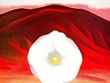 Georgia O'keeffe Red Hills And White Flower