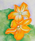 Georgia O'keeffe Squash Blossoms