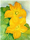 Georgia O'keeffe Squash Blossoms I