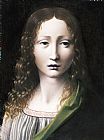 Giovanni Antonio Boltraffio The Adolescent Saviour