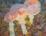 Mushroom Prints - The Green Man With Stinkhorns by Glyn Morgan