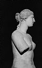 Greek School Venus de Milo