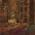 Collection 7 Autunno Nei Boschi