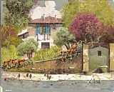 Collection 7 Galline