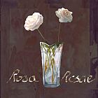 Rosa Indica Fragrans Prints - Rosa Rosae by Collection 7