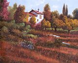 Collection 7 Una Bicicletta Nel Bosco