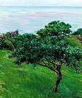 Gustave Caillebotte Apple Trees By The Sea Trouville painting