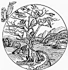 Hartmann Shedel Fifth Day Of Creation Wood Engraving