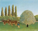 Henri Rousseau Meadowland