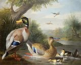 Jakob Bogdany Ducks in a River Landscape