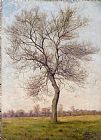 James Hey Davies Study of an Ash Tree in Winter
