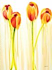 Jerome Lawrence Tulips are People XVII