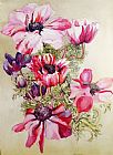 Joan Thewsey Anemones