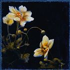 John Douglas Midsummer Night Bloom III painting