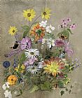 John Gubbins Summer Flowers
