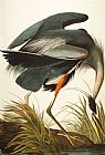 John James Audubon Great Blue Heron