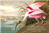 Hope Prints - Hopes Are Shy Birds by John James Audubon
