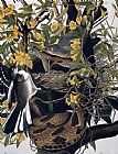 John James Audubon Mocking Birds and Rattlesnake