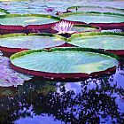 John Lautermilch Afternoon Highlights