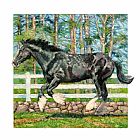 John Lautermilch Black Power