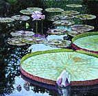 John Lautermilch Calm Reflections