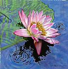 John Lautermilch End of Summer Shower