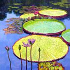 John Lautermilch Floating Galaxies