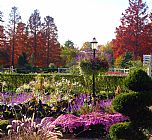 John Lautermilch Gas Lamp in Garden