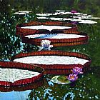 John Lautermilch Lily Pad Highlights