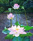 John Lautermilch Lotus