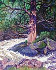 John Lautermilch Old Pine In Rushing Stream