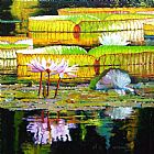 John Lautermilch Passion for Color