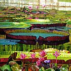 John Lautermilch Patterns of Shadow and Sunlight