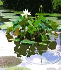 John Lautermilch Ripples on the Lotus Pond