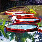 John Lautermilch Summer Sunlight on Lily Pads