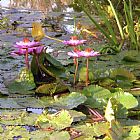 John Lautermilch Summer Time Lilies