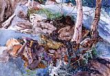John Ruskin Study of The Rocks And Ferns, Crossmouth