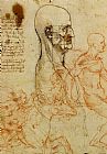 Leonardo Da Vinci Prints - Anatomical Study Of A Man's Head by Leonardo da Vinci