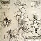 Leonardo da Vinci The Heart And The Circulation