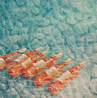 Wine Prints - Wine Cooling by Lincoln Seligman