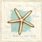 Lisa Audit Coastal Jewels Iv painting