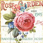 Lisa Audit Rose Garden I