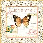 Lisa Audit Rose Garden V painting